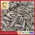 High Quality Sunflower Seeds From China